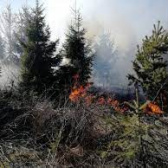Ochrana prírody pred požiarmi  2023 - Védjük a természetet a tüzektől 1